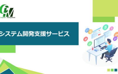 system-development-front-cover